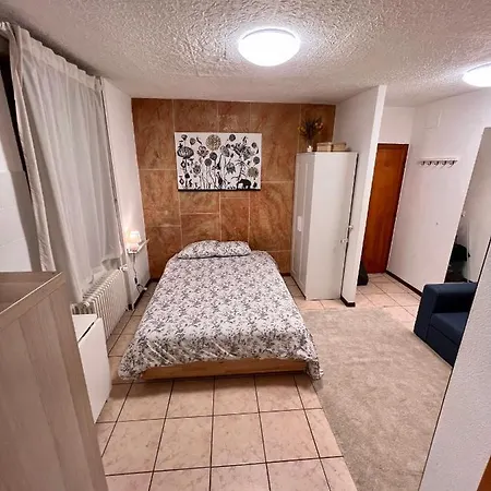 Cosy Διαμέρισμα Λωζάνη